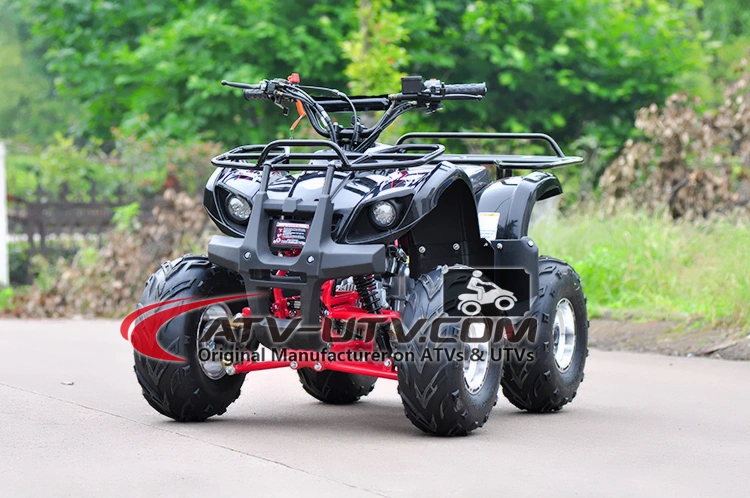 Street Legal 110cc 125cc 200cc 250cc Atvs Quad for Adults