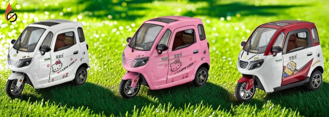 China New Enclosed Three-Wheeled New Mini Battery Electric Vehicle Mini Electric Utility Vehicles