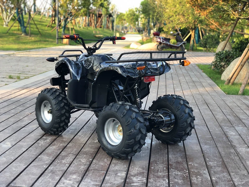 Terrain off-Road ATV 48V750W Electric Quad Bike ATV