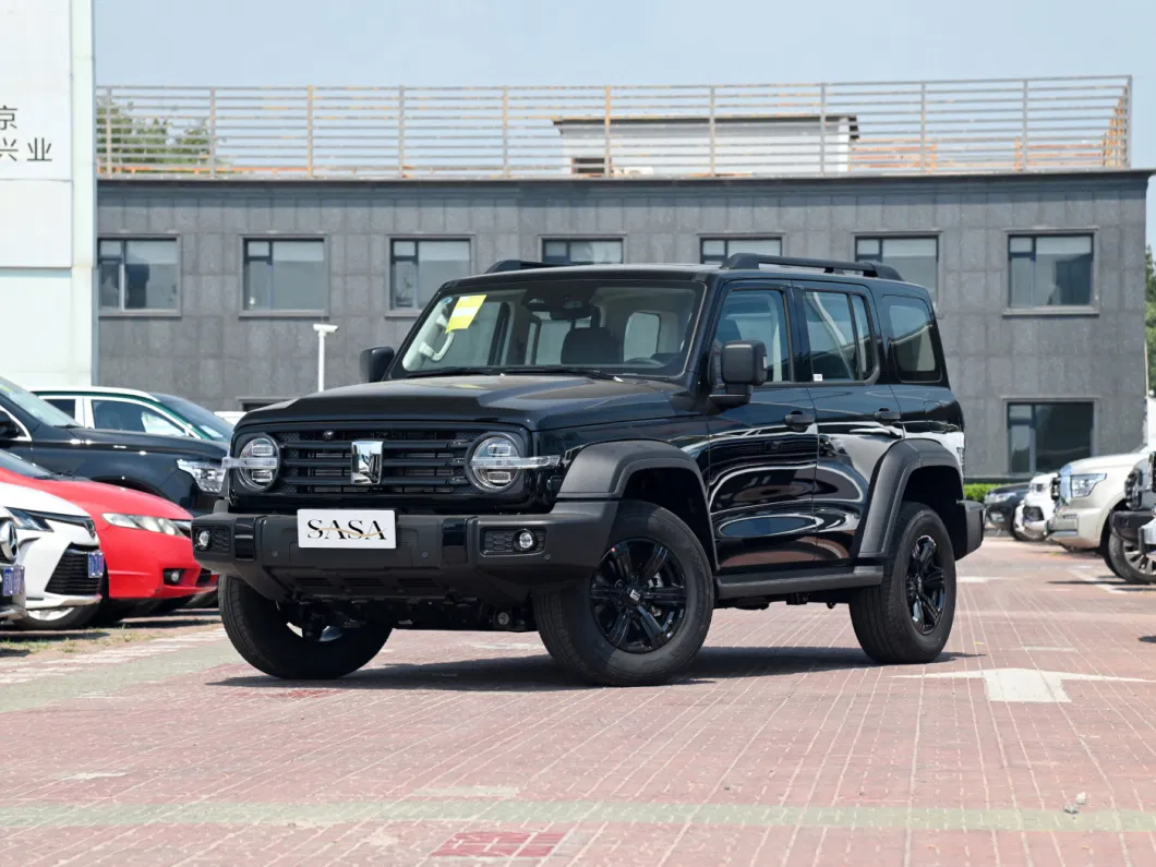 All Terrain Comfortable off-Road Vehicles in China Tank 300 Used Cars at a Low Price Sold