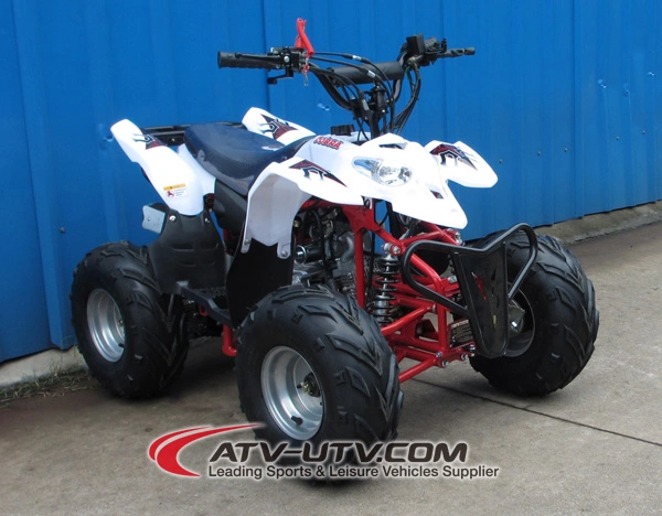 Cheap Price OEM on Chinese 50cc 110cc Quad Bikes ATV Land Cruiser Beach Motorcycle for Sale