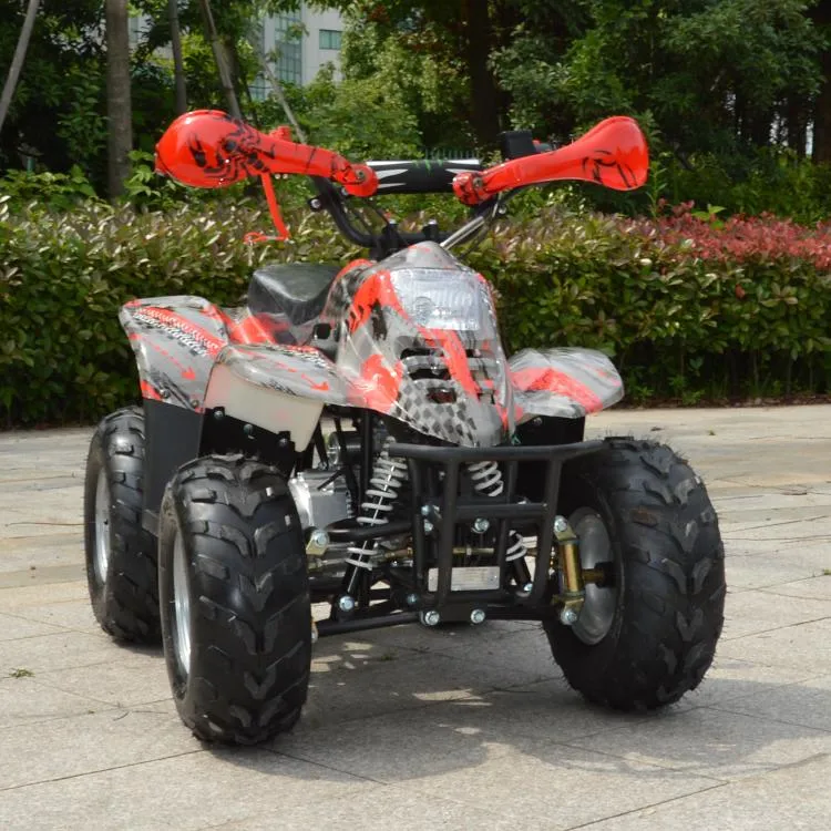 800W Electric ATV, Quad for Kids, Electric 4 Wheeler Et-Eatv003