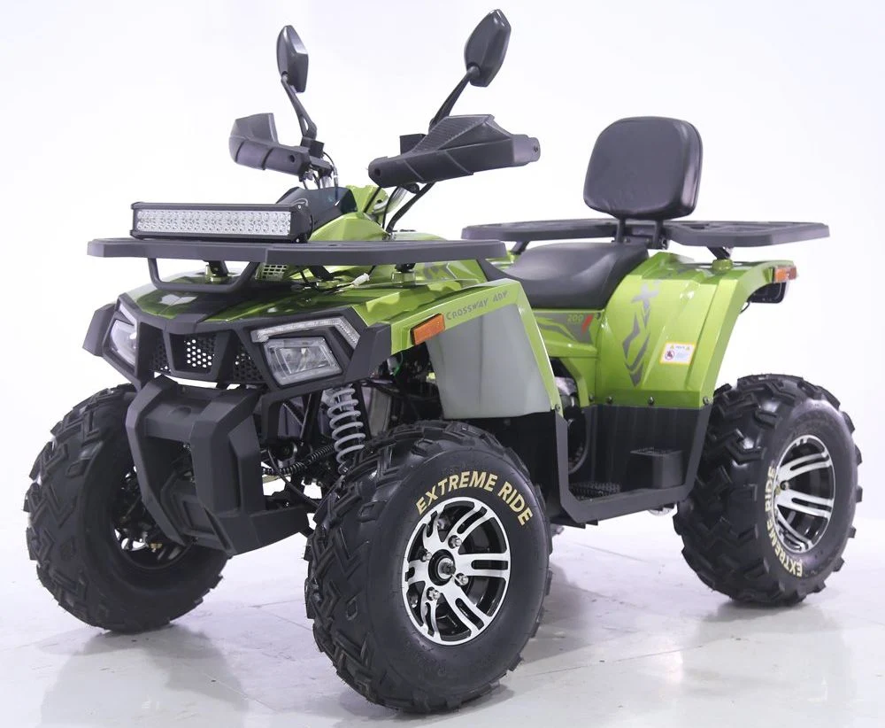 Tao Motor 2024 New Automatic Farm Quad Bike 200cc 250cc ATV