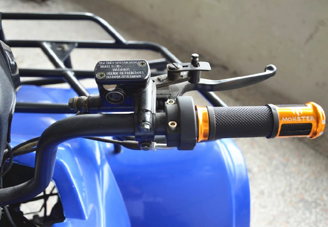 Sport Racing ATV Quads 250cc