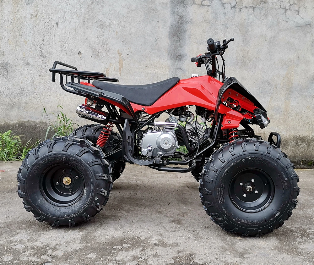 110cc 125cc 4 Wheeler Gas Quadricycle Quad ATV Bike