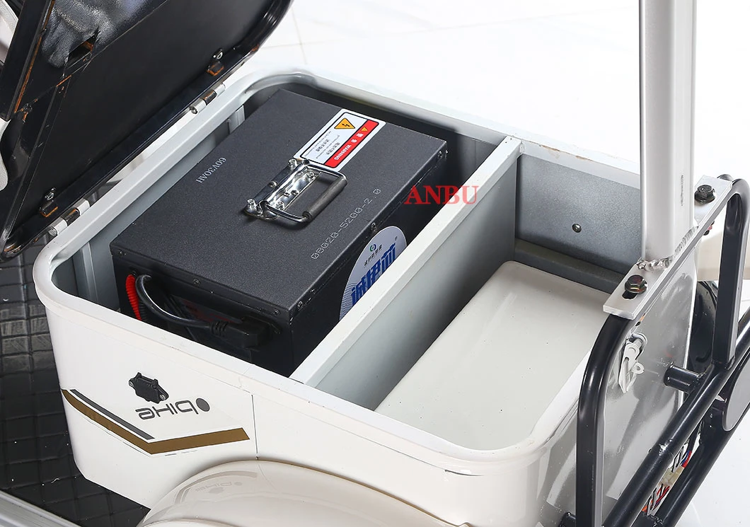 Four-Wheel Electric Car Sightseeing Car Battery 800W Motor