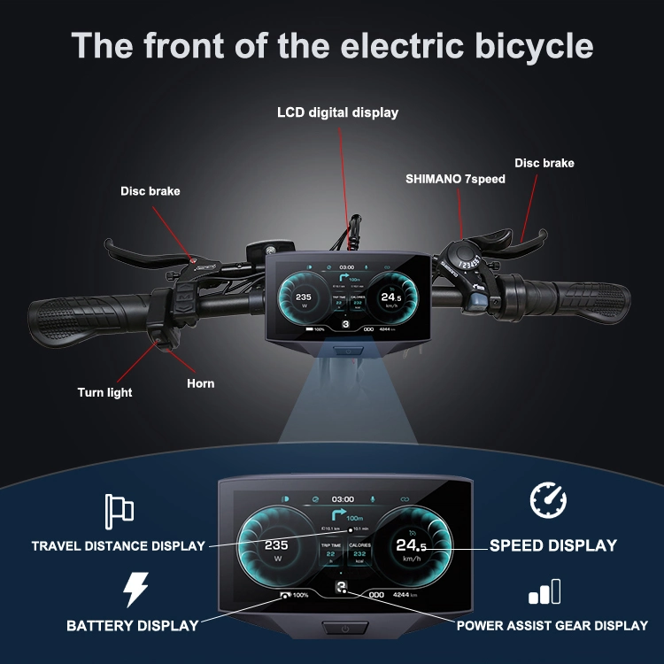 24 Inch 1000W Aldult Offroad Dirt Fat Tire Ebike Quad Electric E Bike