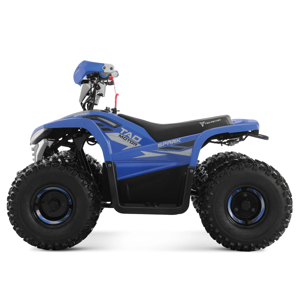 Quad Bike Dune Buggy Electric ATV Electric Quad for Kids