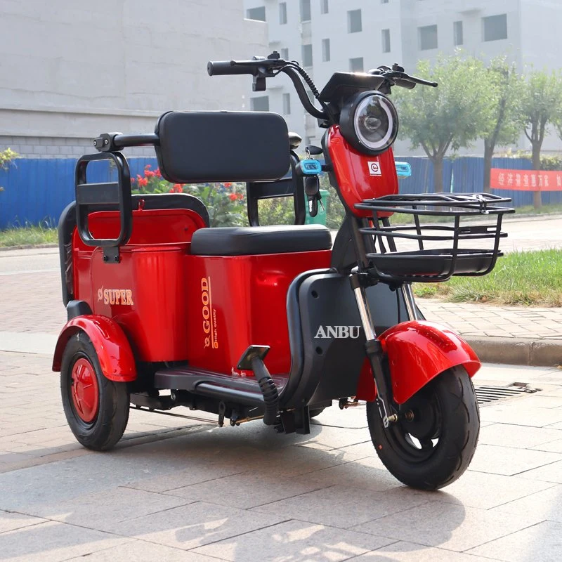 Three-Wheeler 800W for Family Adult Electric Tricycle