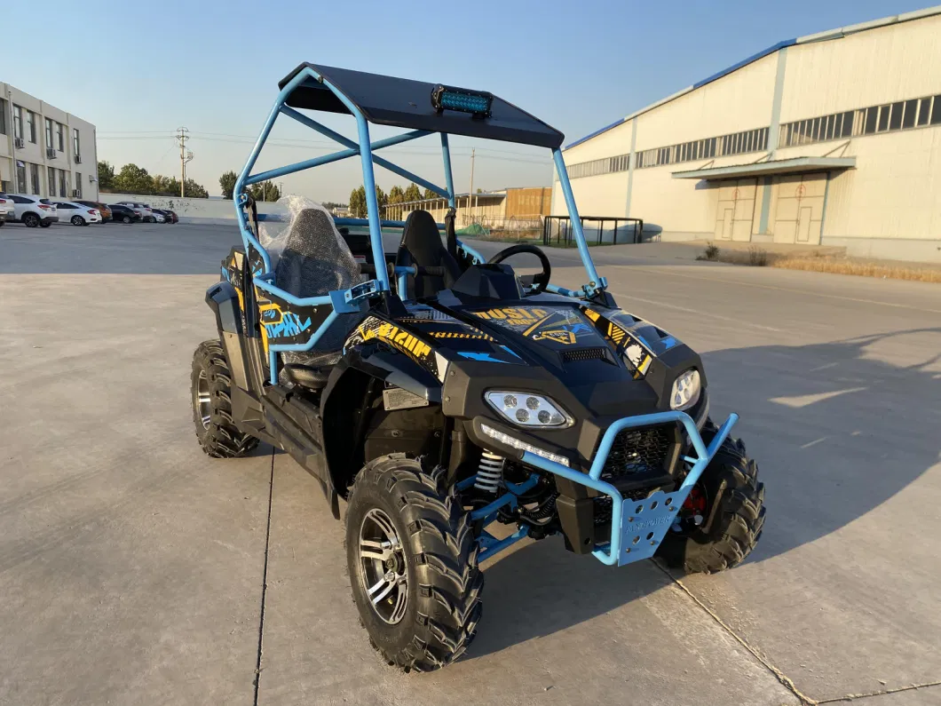 Fx150cc/200cc/250cc/400cc 2&4 Seater Utility Vehicles Side by Side Dune Buggy UTV Atvs