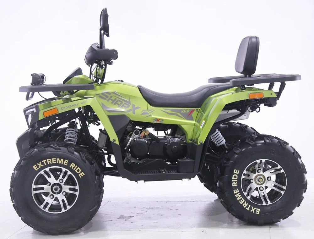 Tao Motor 2024 New Automatic Chain Drive Quad Bike 200cc 250cc ATV