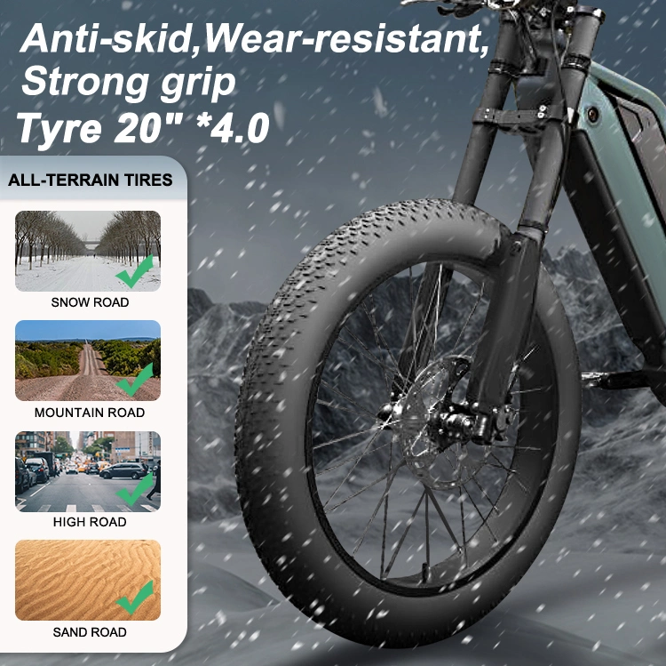 1000W Hydraulic Disc Brake Fat Tyre Quad Sport Bike Electric Motorcycles Ebike
