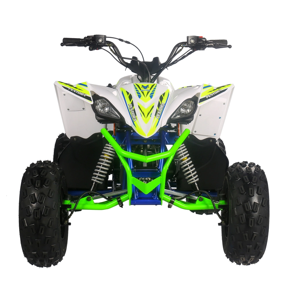 125cc Automatic Reverse CE Electric Sports ATV Quad Bikes