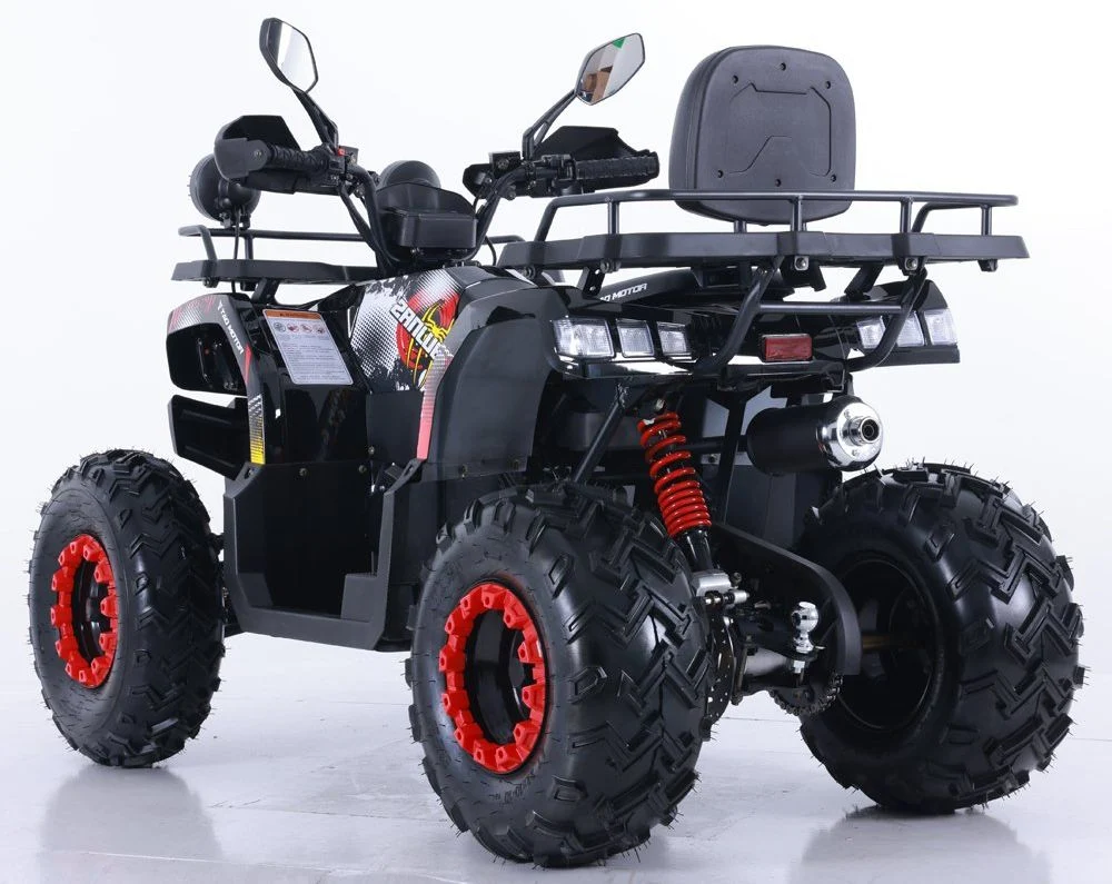 Tao Motor 2024 New Automatic Farm ATV Quad Bike200cc 250cc ATV