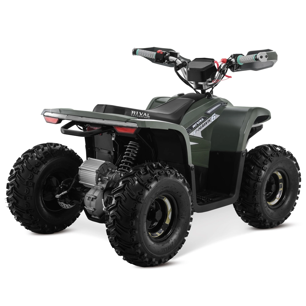 2023 New Lithium Battery 48V 1600W Electric ATV for Kids