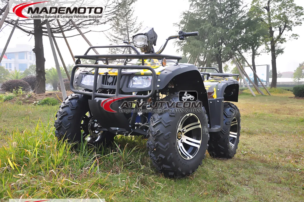 4000W 5000W China Factory Direct Sell Big Size Adult Electric ATV 4X4