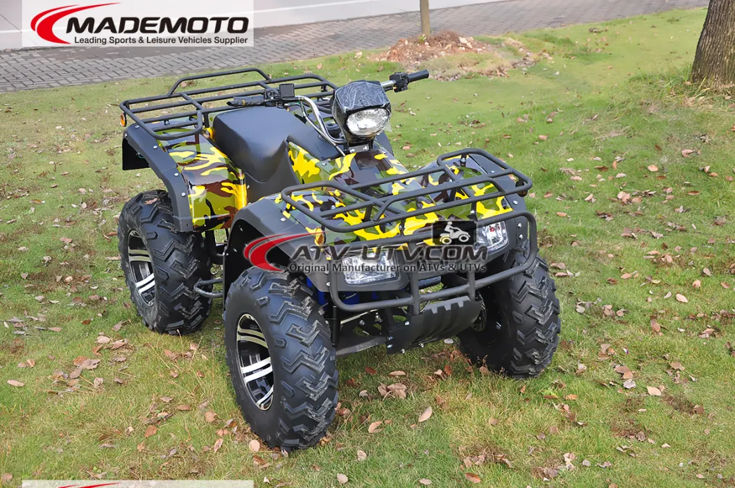 4000W 5000W China Factory Direct Sell Big Size Adult Electric ATV 4X4