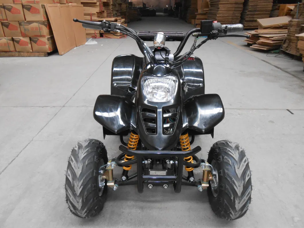 800W Electric ATV, Quad for Kids, Electric 4 Wheeler Et-Eatv003