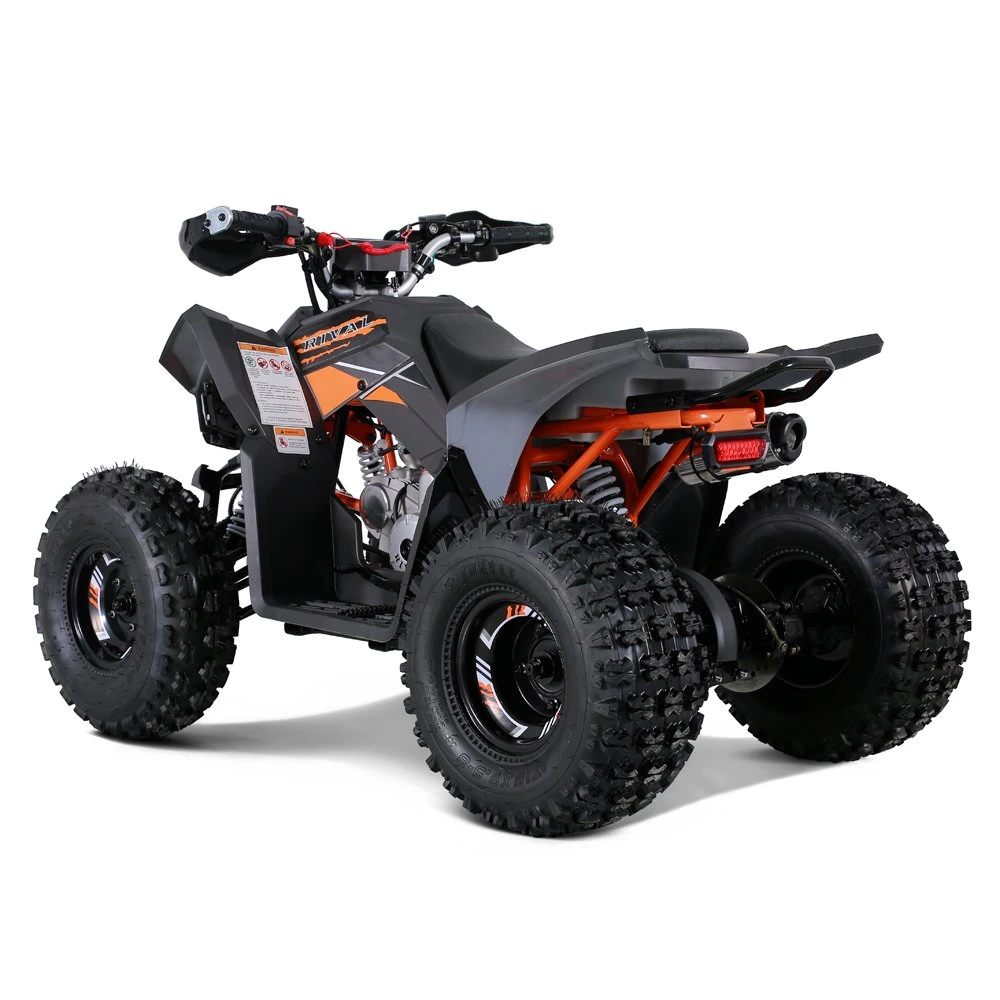 Hot Sales Sport Style Racing 125cc Quad Bike Dune Buggy Motorbike ATV