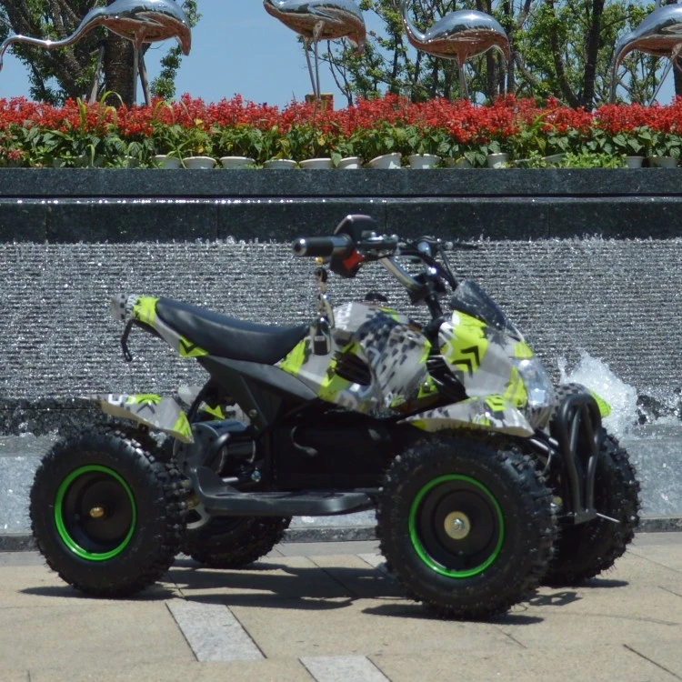 800W Motor Mini Electric ATV Quads (ET-EATV024)