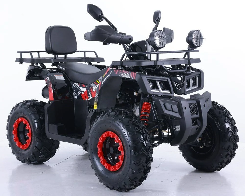 Tao Motor 2024 New Automatic Farm ATV Quad Bike200cc 250cc ATV