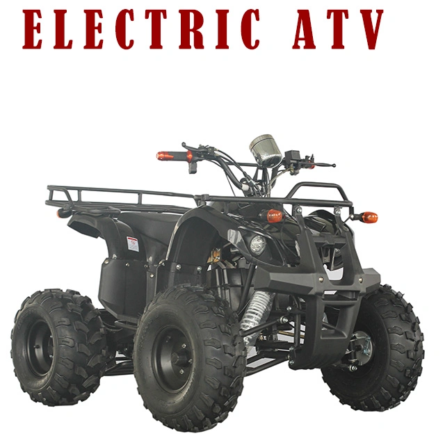 New 1000W Ce Electric ATV for Sale
