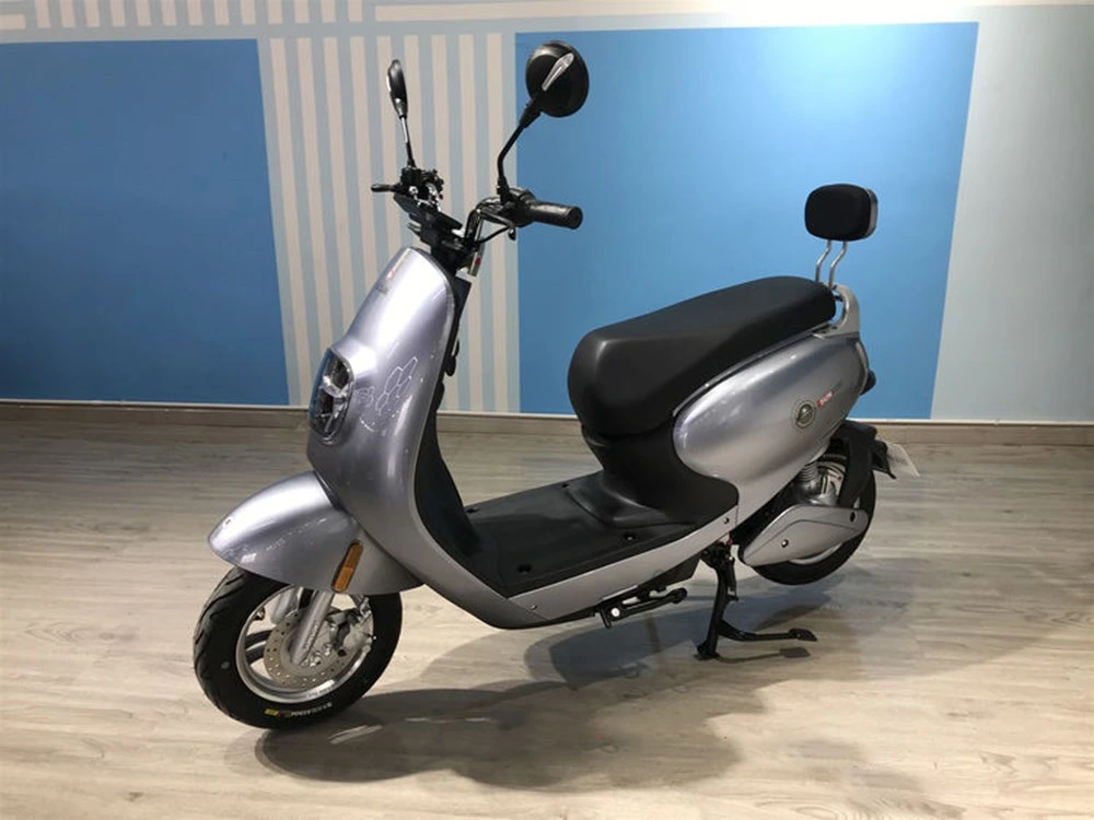 Two-Wheeled Electric Vehicle with Both Cool and Power Electric Scooter