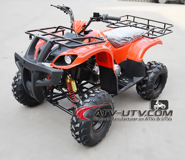 China Factory Good Selling 50cc 70cc 90cc 110cc Japanese ATV Wholesale with Best Factory Cheap Prices