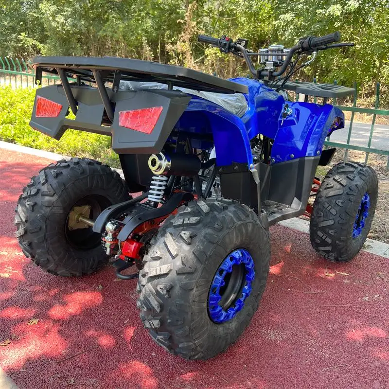 Hot Sales 125cc Motorcycle 110 ATV Quad Bike 4 Wheeler Dune Buggy ATV