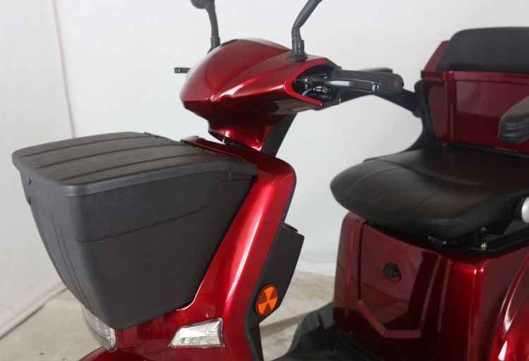 Hot Selling Electric Bike with Deluxed Saddle