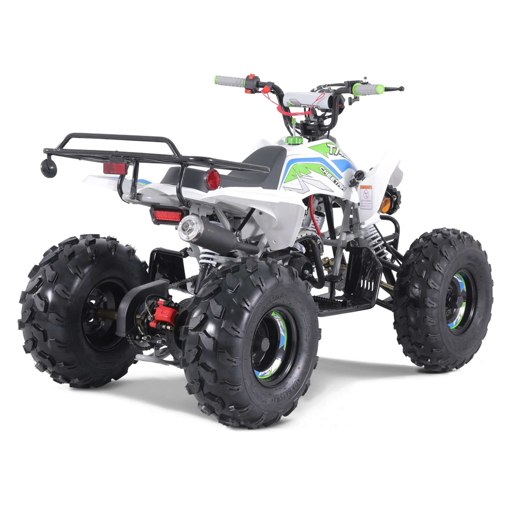 Hot Sales Sport ATV Automatic 110cc 125cc ATV Quad