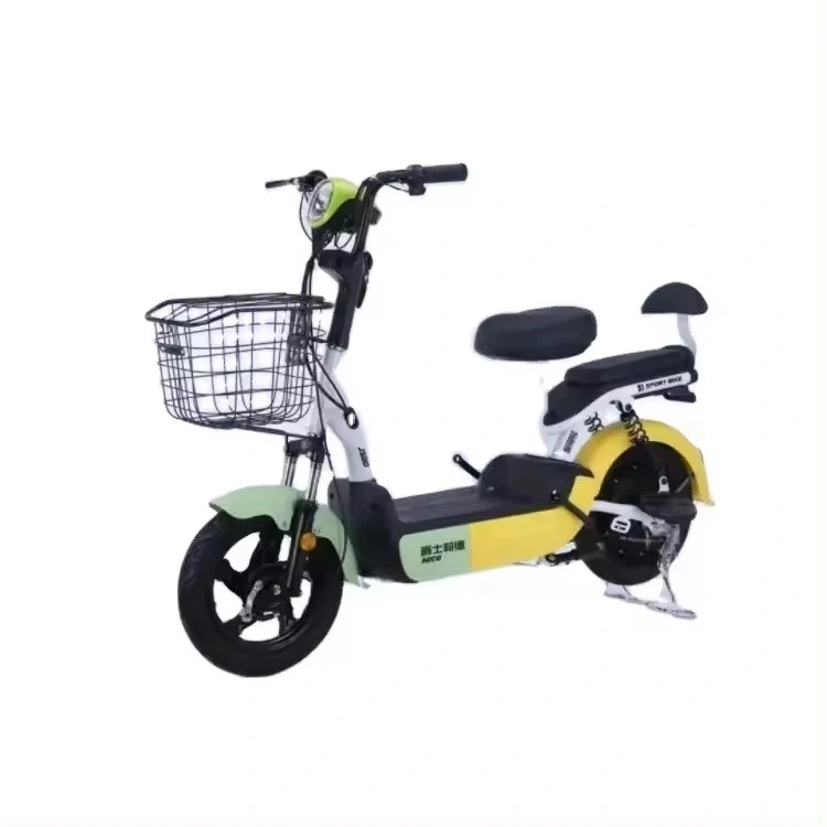 Urban Leisure Electric Vehicle 48V Two Wheeled Adult Electric Vehicle, Two Person Portable Electric Scooter, Electric Bicycle