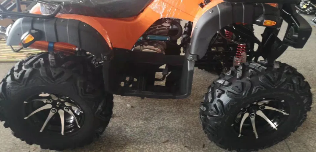 12inch Wide Alloy Wheel 250cc Powerful 4X2 ATV Quad