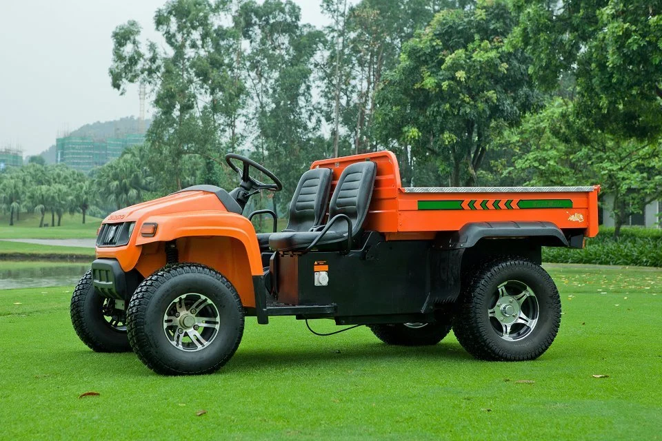 Durable off Road All-Terrian UTV Electric Utility Vehicle