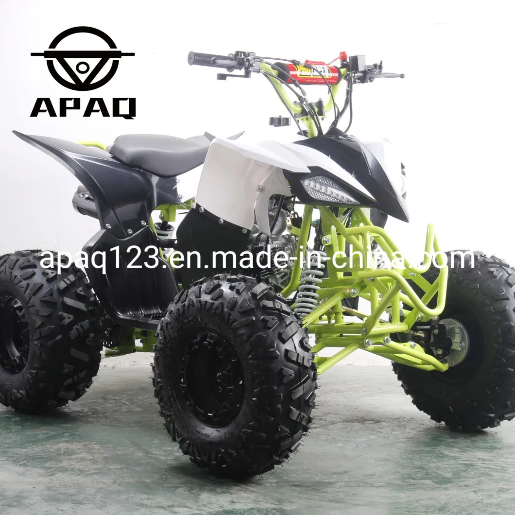 Apaq Child Quad Bike Mini ATV Quad