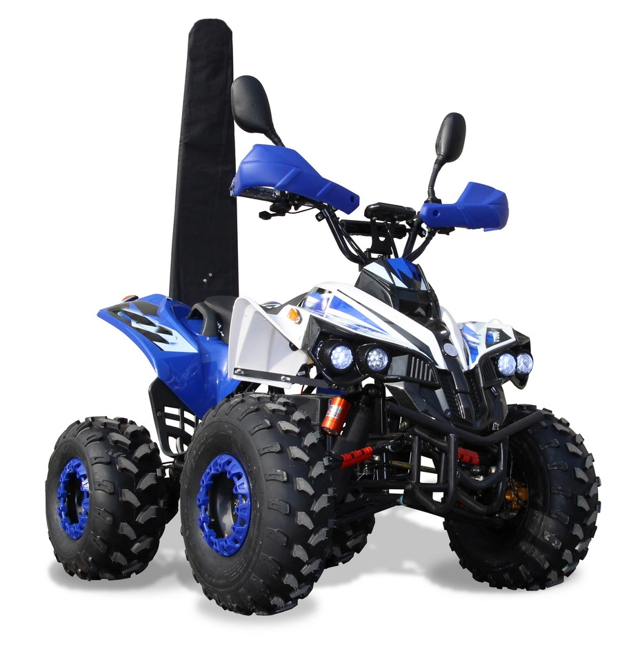 Acceleration 800W 1000W 48V Electric Quad ATV