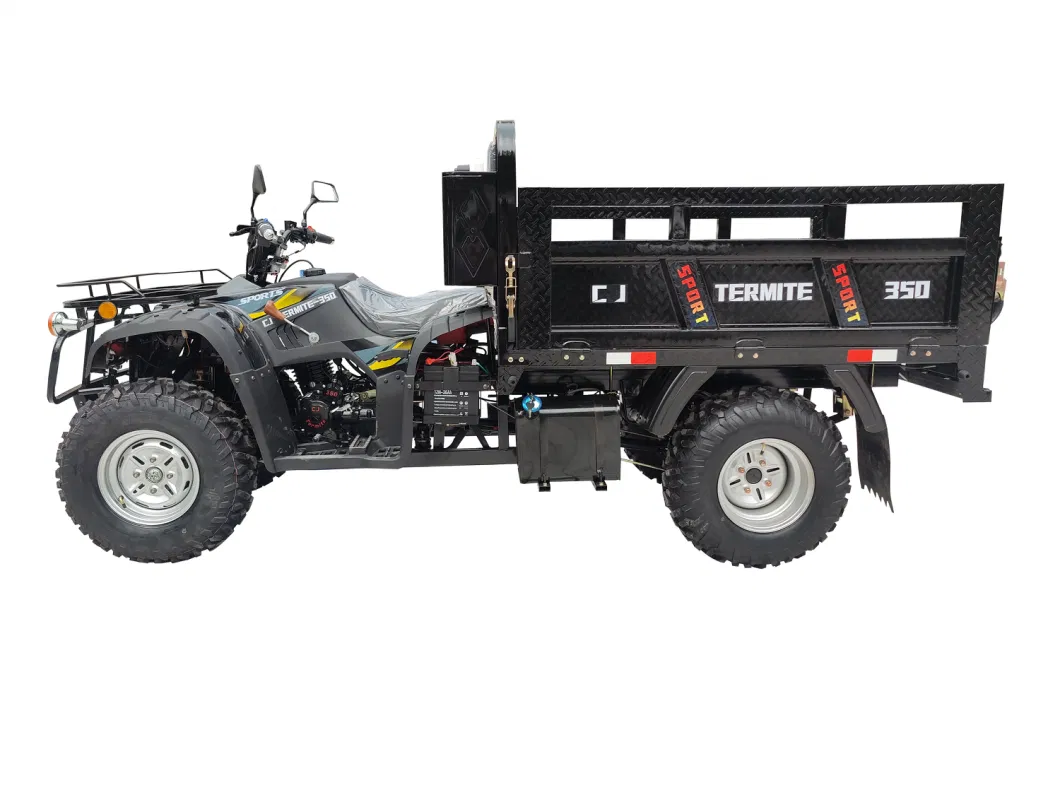 Four-Wheel Beach off-Road Vehicle/All-Terrain Vehicle/ATV Quad