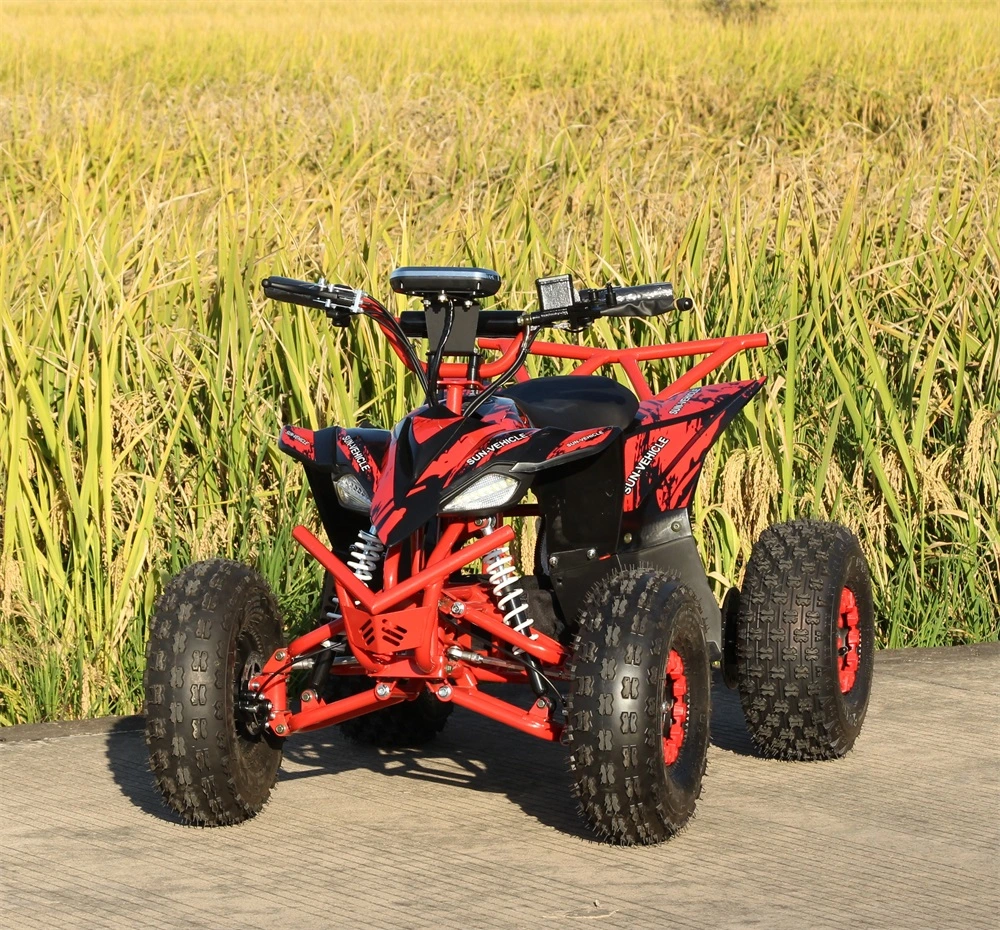 Children&prime;s Electric ATV 800W 1000W Playgrounds 4-Wheel ATV