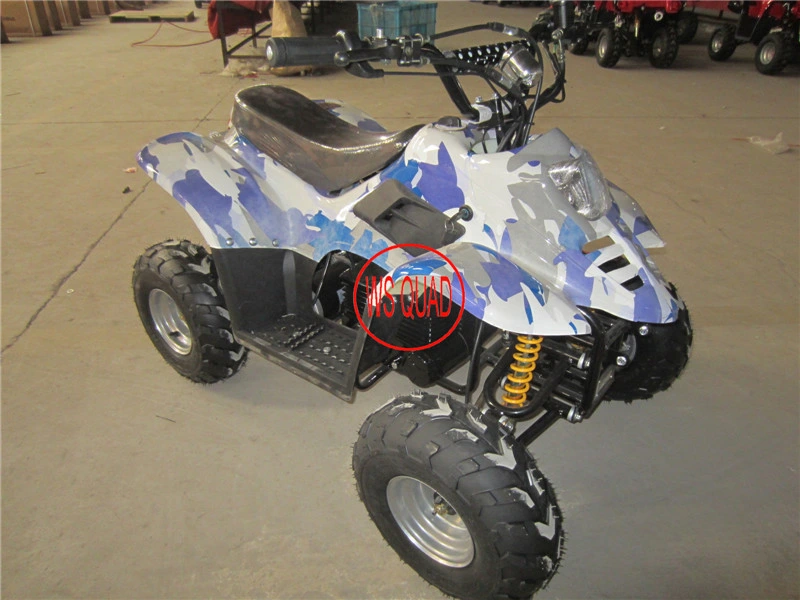 800W Electric ATV, Quad for Kids, Electric 4 Wheeler Et-Eatv003