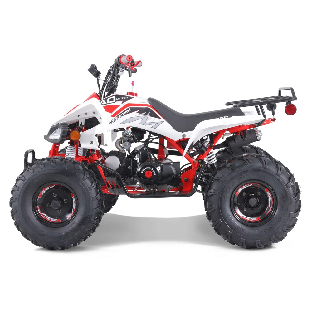 Hot Sales Sport ATV Automatic 110cc 125cc ATV Quad
