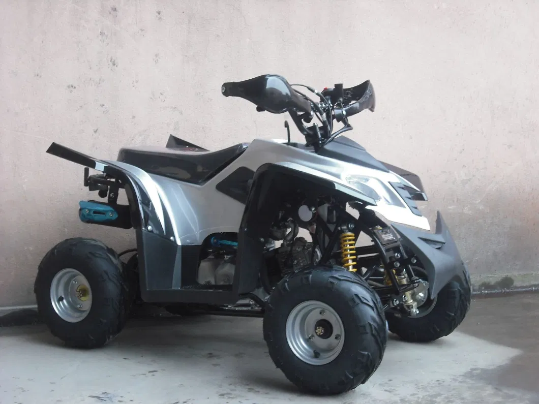 50cc, 110cc ATV 125cc Mini ATV Quads for Childre (ET-ATV007)