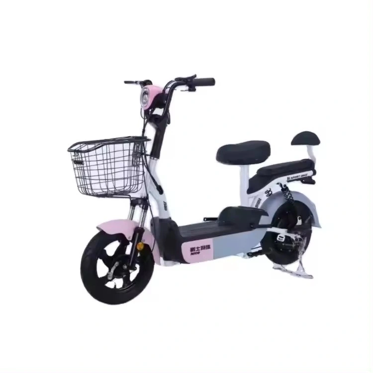 Urban Leisure Electric Vehicle 48V Two Wheeled Adult Electric Vehicle, Two Person Portable Electric Scooter, Electric Bicycle