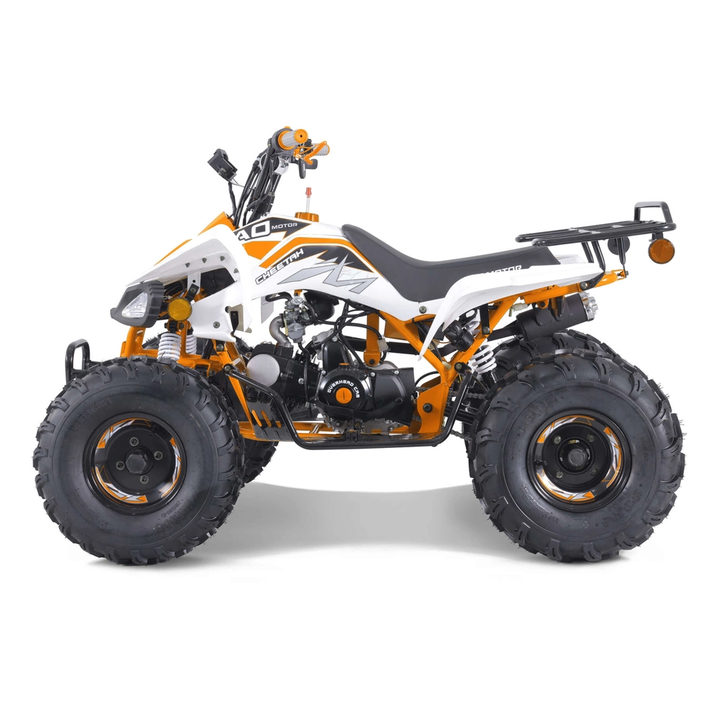 Hot Sales Sport ATV Automatic 110cc 125cc ATV Quad