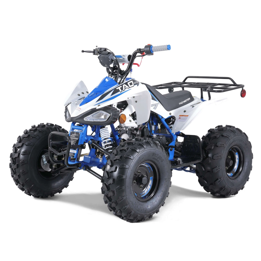 Hot Sales Sport ATV Automatic 110cc 125cc ATV Quad