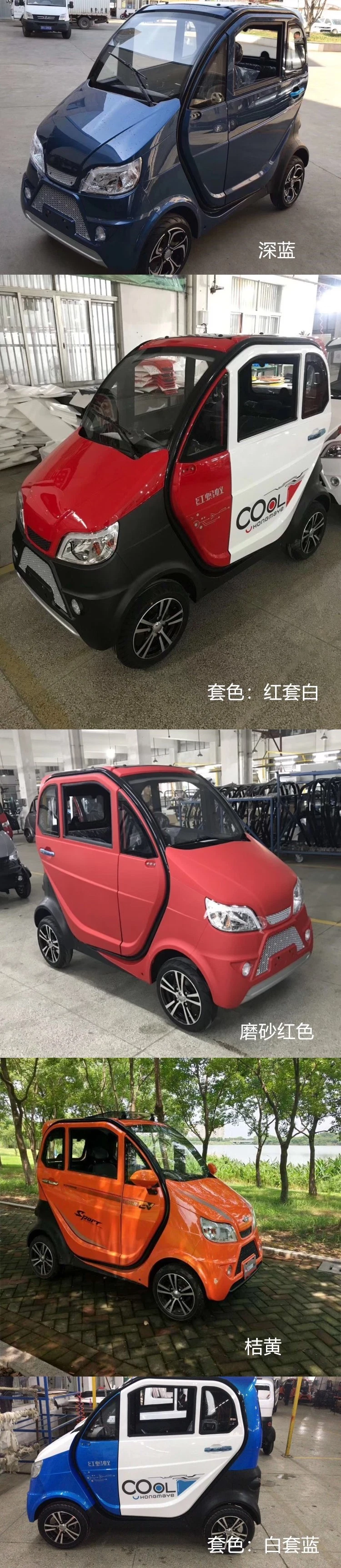 Adult Four-Wheel Enclosed Electric Car Equipped with 1200W Motor 45ah Lead-Acid Battery