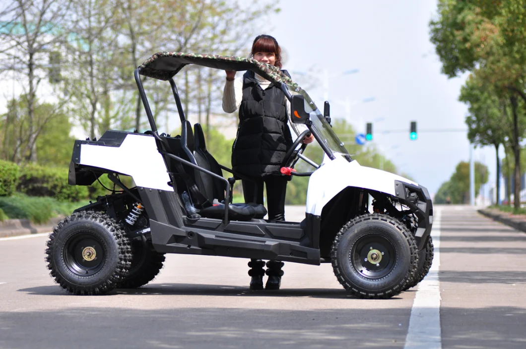 1500W 2000W 3000W 4000W 5000W Shaft Drive Electric UTV 2 Seater