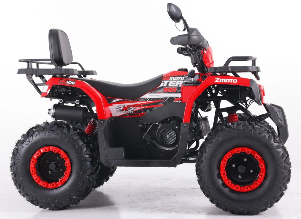 Tao Motor 2024 New Design Automatic Farm ATV Quad Bike 200cc ATV