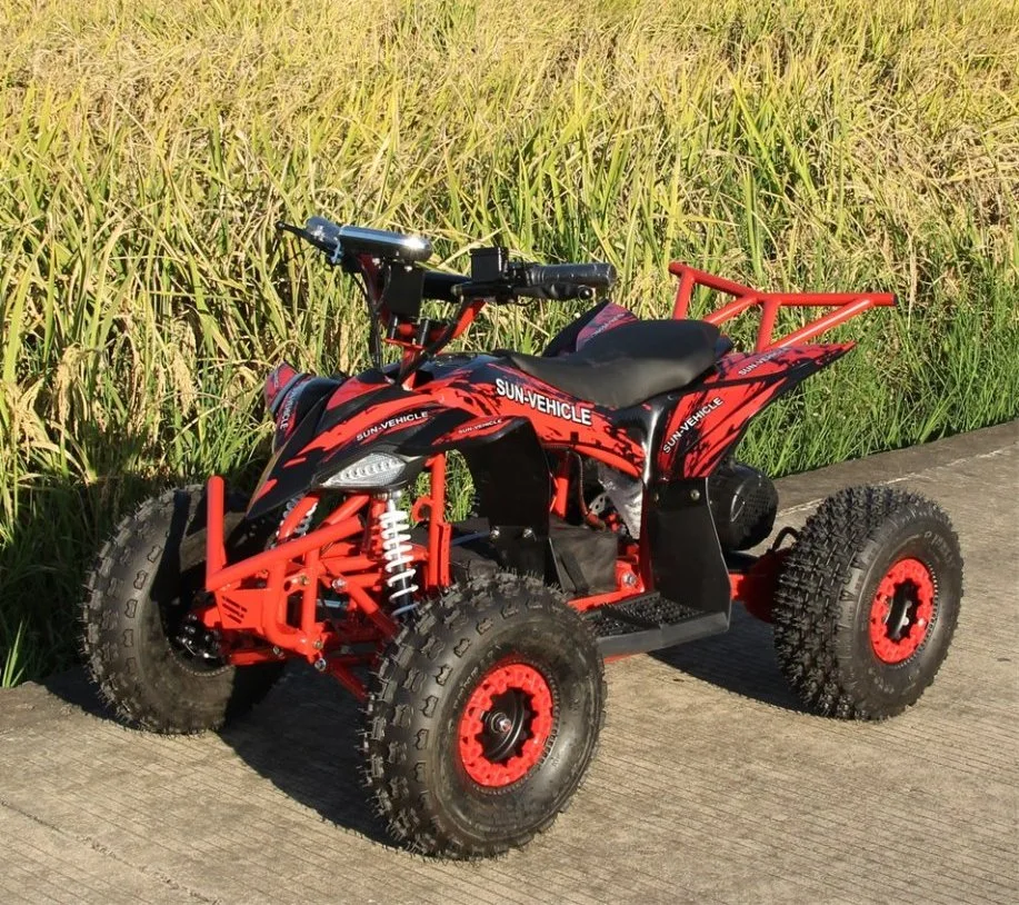 Children&prime;s Electric ATV 800W 1000W Playgrounds 4-Wheel ATV