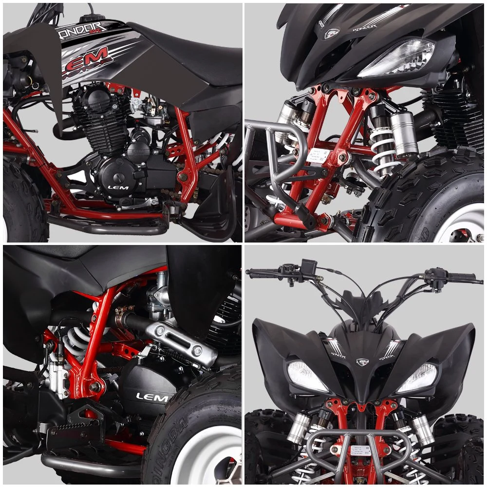 250cc 4 Stroke Gas Powered Adult ATV Quad Bike