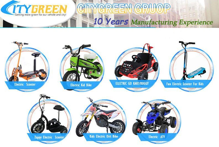 Wholesale Mini Buggy 36V 1000W Mini Kids Cross Bike ATV